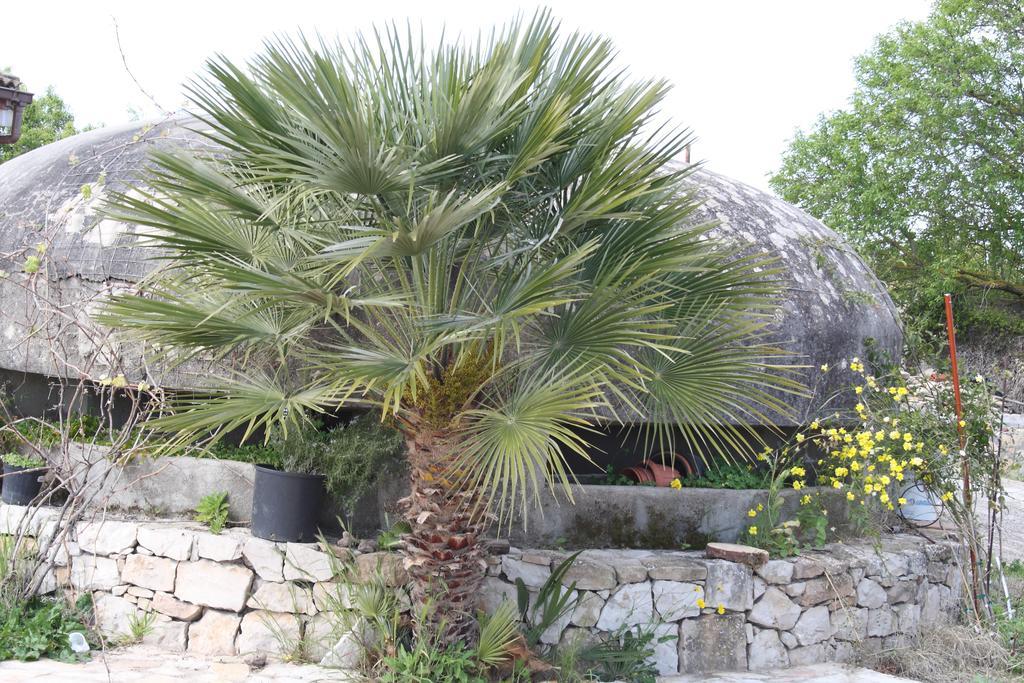 Villa La Scaletta Αλγκέρο Δωμάτιο φωτογραφία