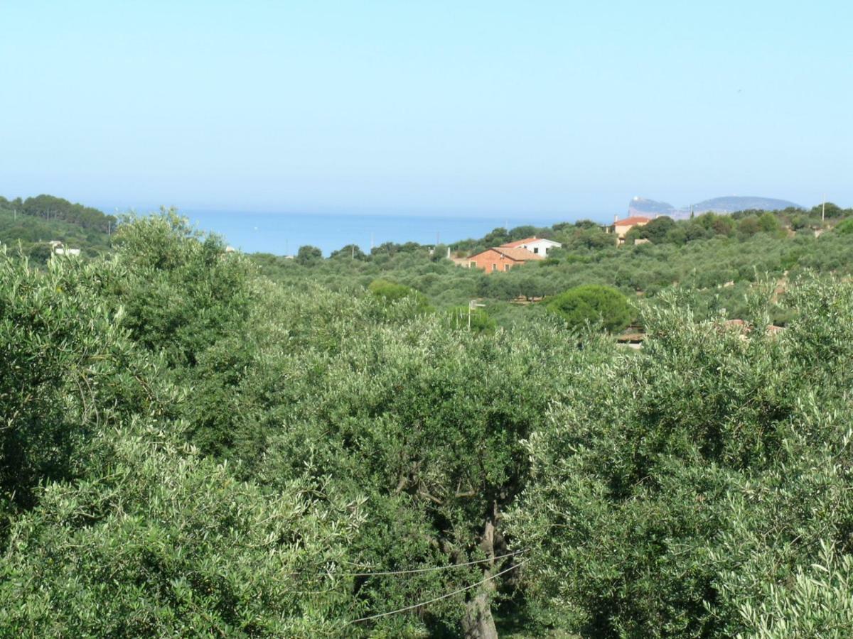 Villa La Scaletta Αλγκέρο Εξωτερικό φωτογραφία
